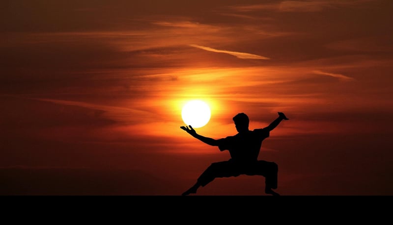 Yang Style Tai Chi Image